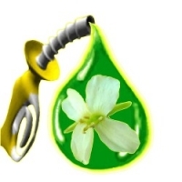 Biofuels